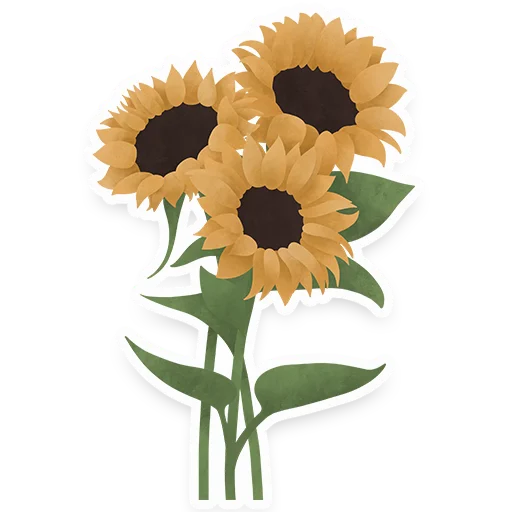 flowers sticker 🌻