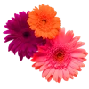 Flowers emoji 💐