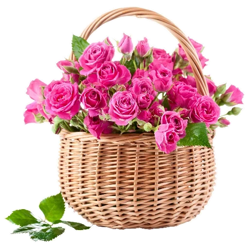 Pelekat telegram Flowers for Lovely Girl