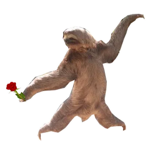 Funny Sloth sticker ?