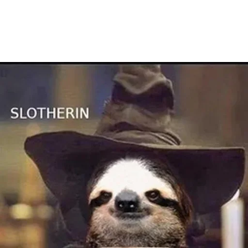 Funny Sloth sticker ?