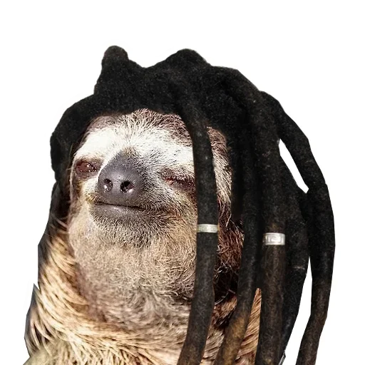 Стикер Funny Sloth ?