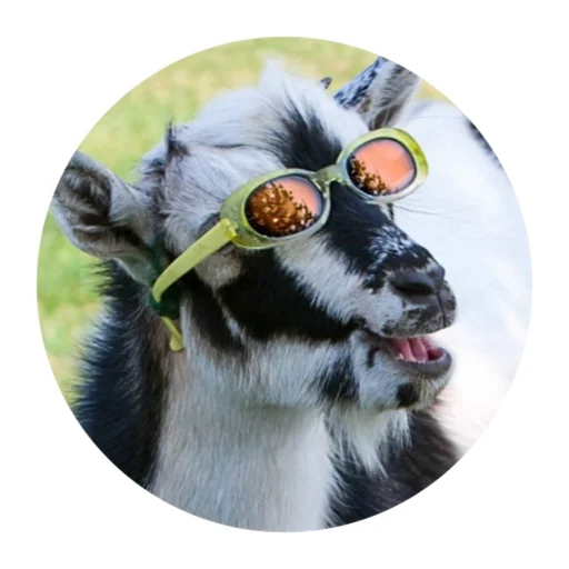Funny Goat emoji 😎