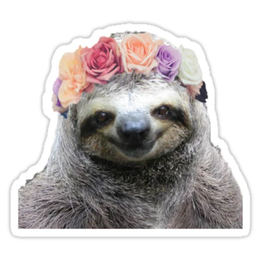 Fun Sloth sticker 🌷