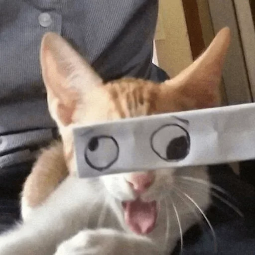 Эмодзи Meme Cat 😝