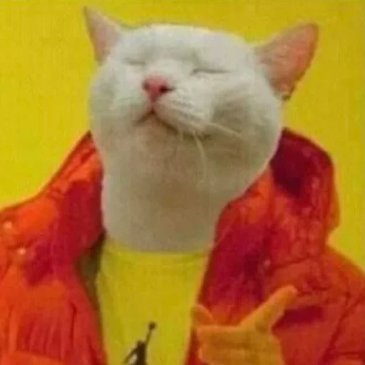 Эмодзи Meme Cat 😌