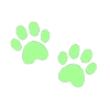 Random green emoji 🐾
