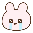 HD Bunny emoji 😭