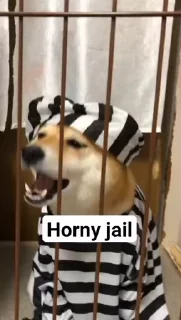 Horny Jail sticker ⛓