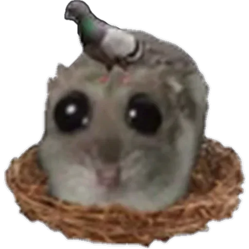Эмодзи sad hamster 😶