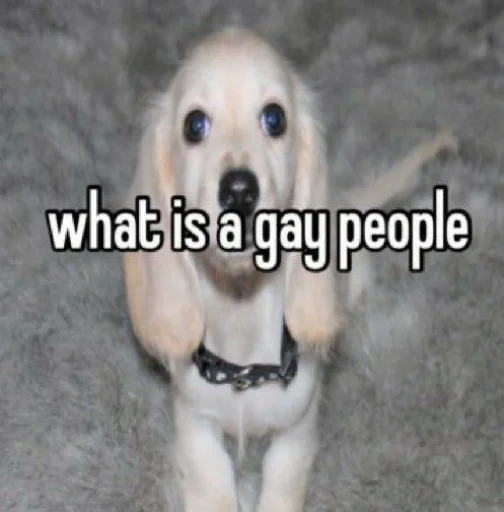 homophobic dog sticker 😳