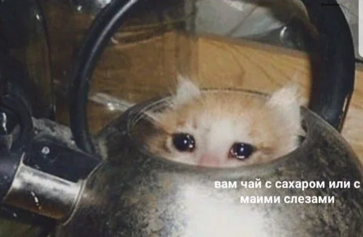 Эмодзи Sad Cat 😿