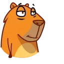 Jonny Сapybara stiker 😘