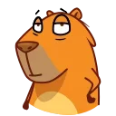 Jonny Сapybara stiker 👍