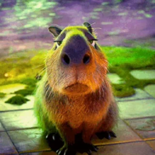 Капибара/Capybara pelekat 💇