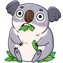 Kozy Koala emoji 😳