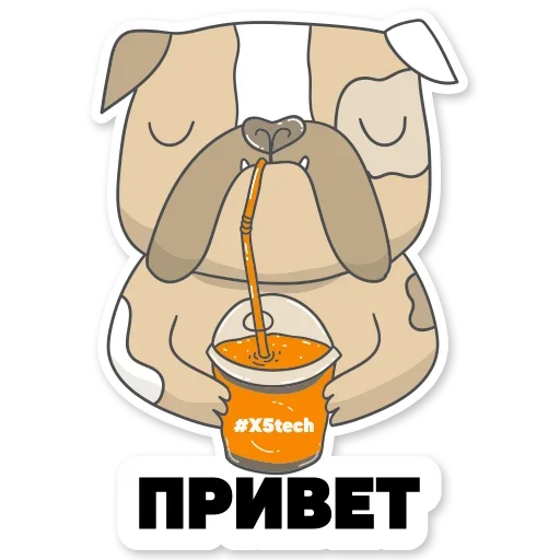 Котик Айтишник sticker 😉