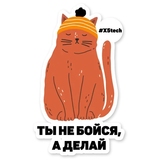 Котик Айтишник sticker 😏