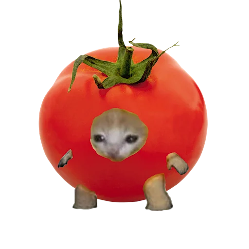 котики овощи коты фрукты stiker 🍅