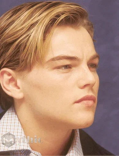 Telegram stickers Leonardo DiCaprio