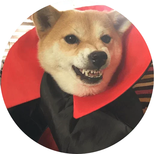 Stiker Telegram «Мой любимый пёс» 😙