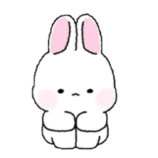 Lovely Rabbit Tozzi emoji 😣