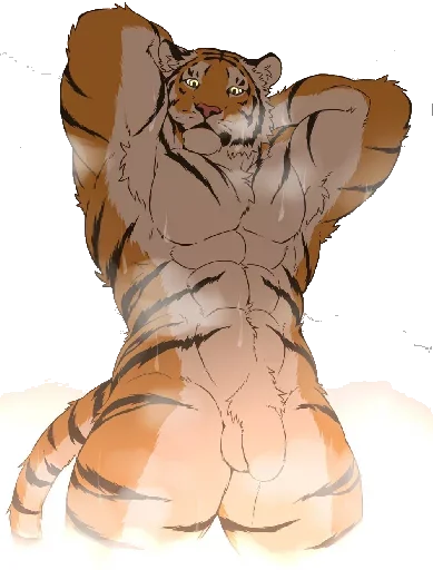 Male Tiger stiker 🐯