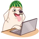 Melon Dog emoji 💻