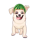 Melon Dog emoji 🏃