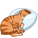 Memes With Cats sticker 😴