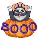Memes With Cats sticker 🎃
