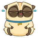 Mr. Pug emoji 😂