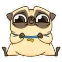 Mr. Pug emoji 🙌