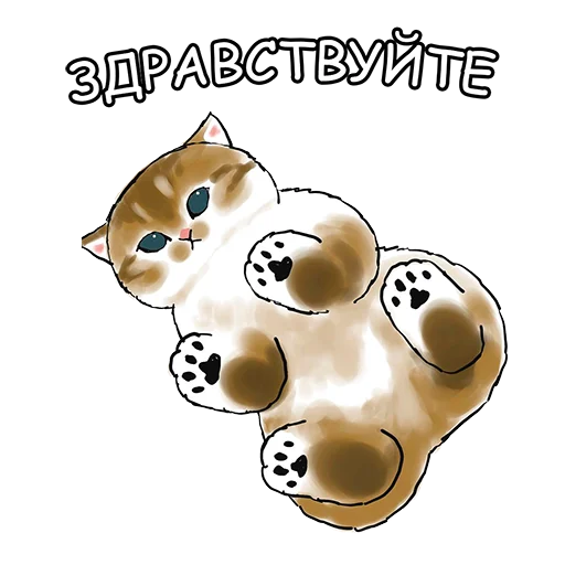 Котики mofu_sand sticker 👋
