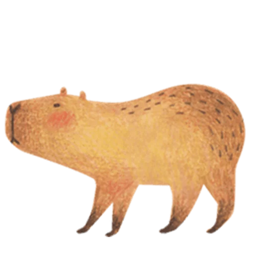 Mr. Capybara pelekat 😙