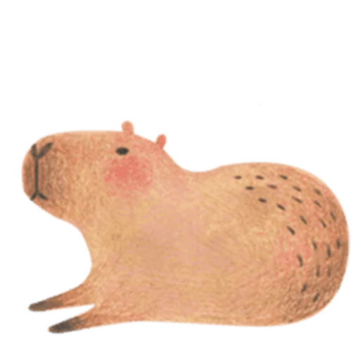 Mr. Capybara sticker 😊