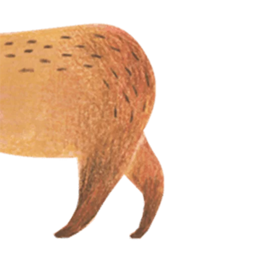Mr. Capybara sticker 👋