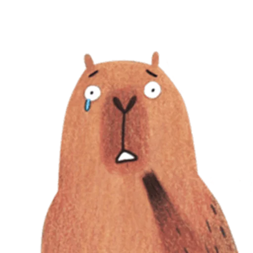 Mr. Capybara pelekat 😢