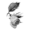 rose garden ♡ emoji 🌹