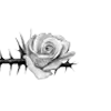 rose garden ♡ emoji 🥀