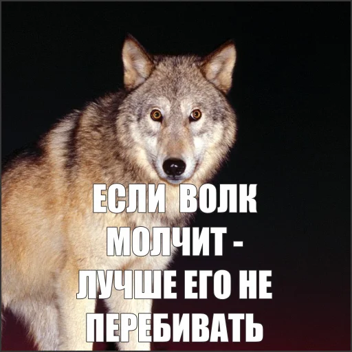Эмодзи Волчьи мемы 🤫