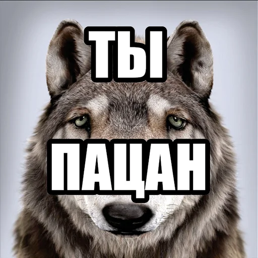 Волчьи мемы emoji 👨‍🦰