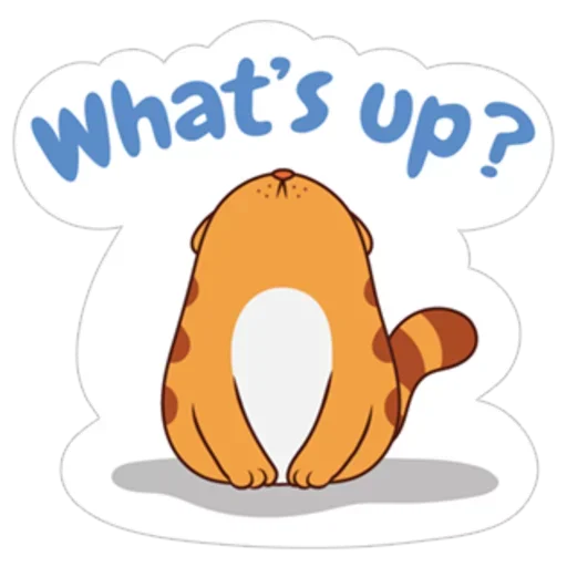 Orange Cat sticker 😗