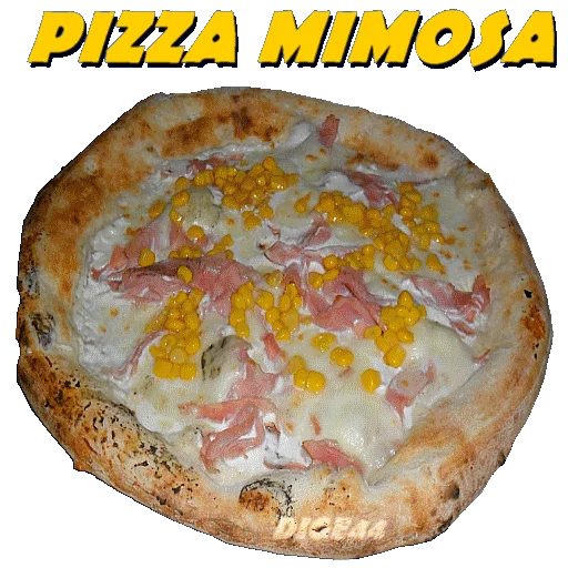 PIZZA ITALY sticker 🌽