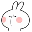 Bunny emoji 🤨