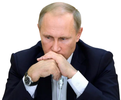 Стикер Vladimir Putin 🙅‍♂