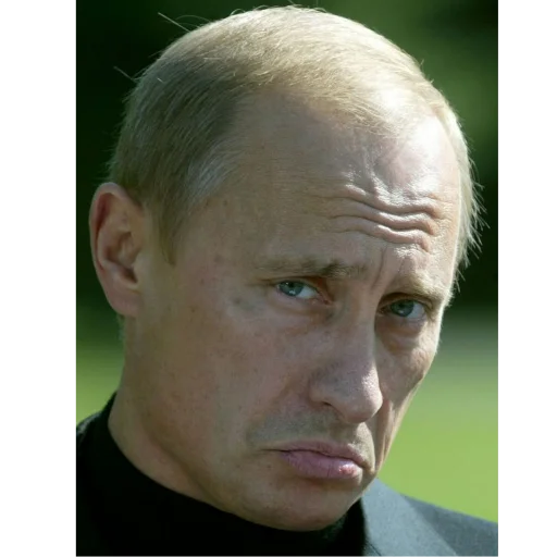 Putin naljepnica 🥺