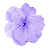 Purple | Фиолетовый emoji 🌺