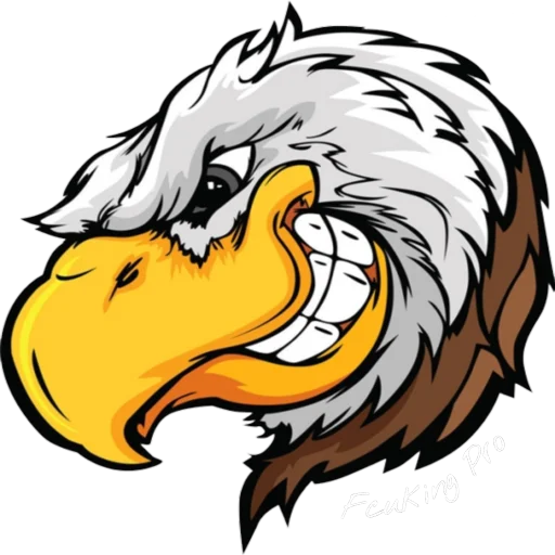 Hawks sticker 😁