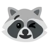 raccoons emoji 😉